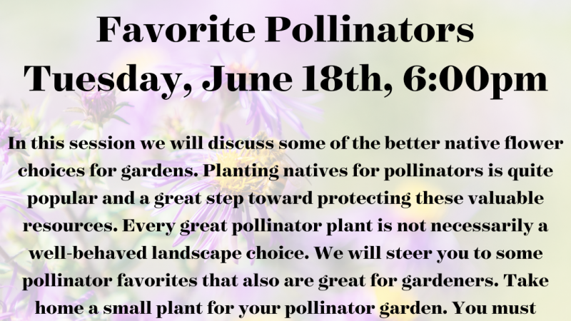 Favorite Natives for Pollinators 2024
